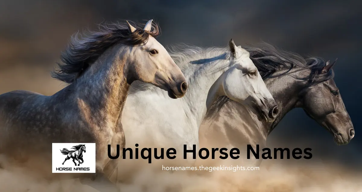 115 Unique Horse Names
