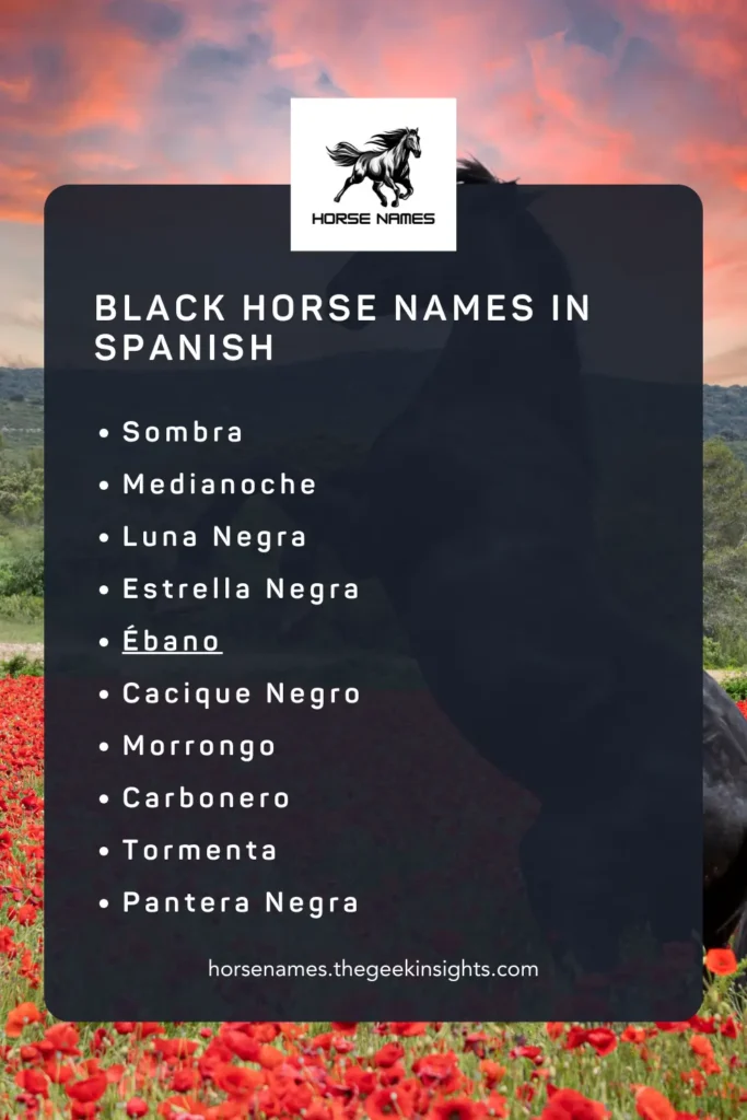 Black Horse Names in Spanish
