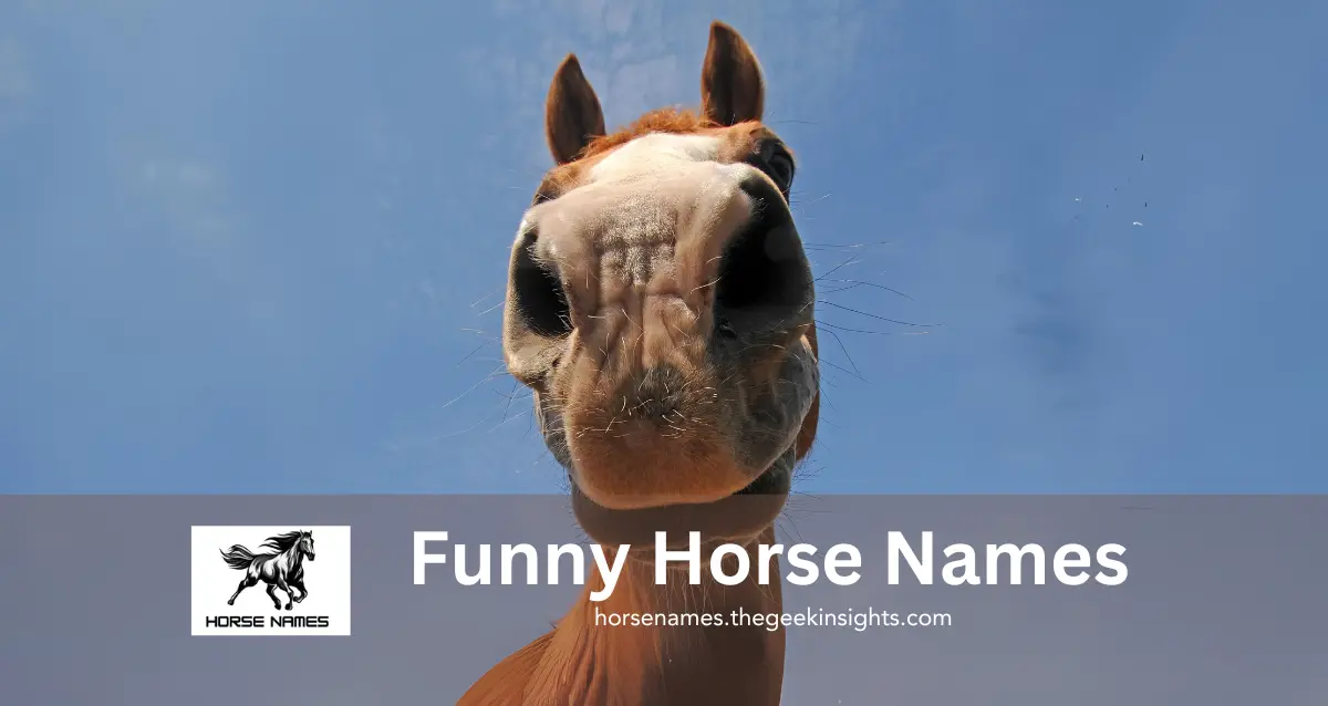 Funny Horse Names