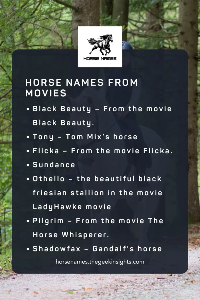 Horse Names from Movies