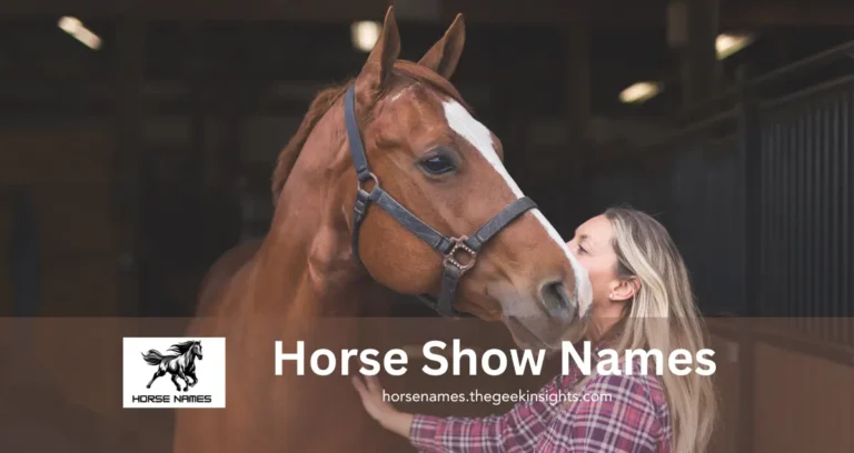 Show Horse Names
