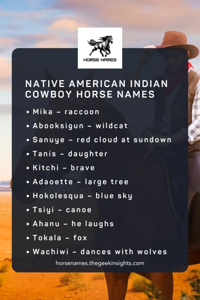 Native American Indian Cowboy Horse Names