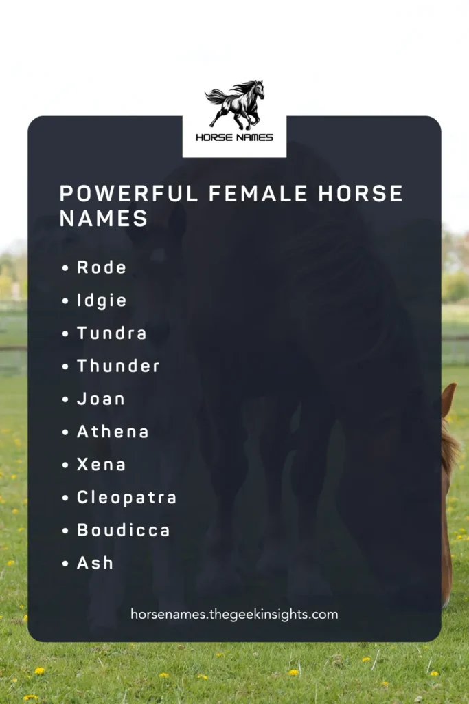 Powerful Female Horse Names