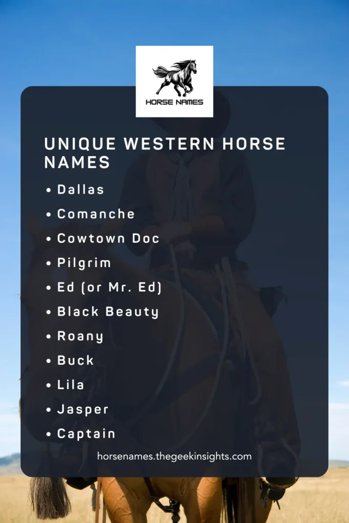 Unique Western Horse Names
