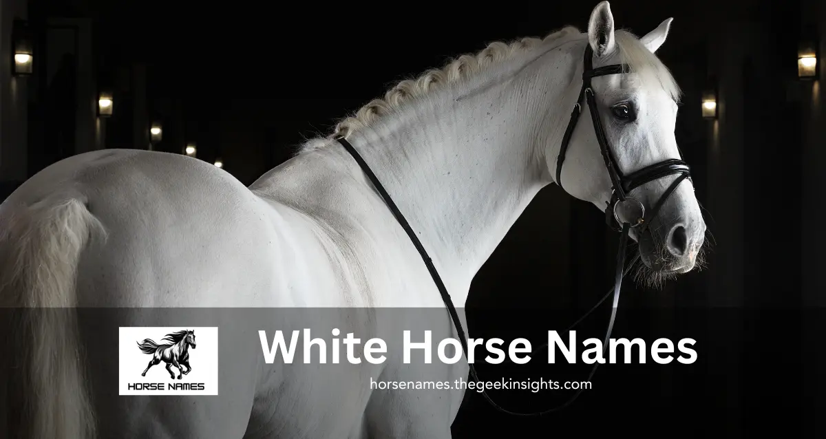 White Horse Names