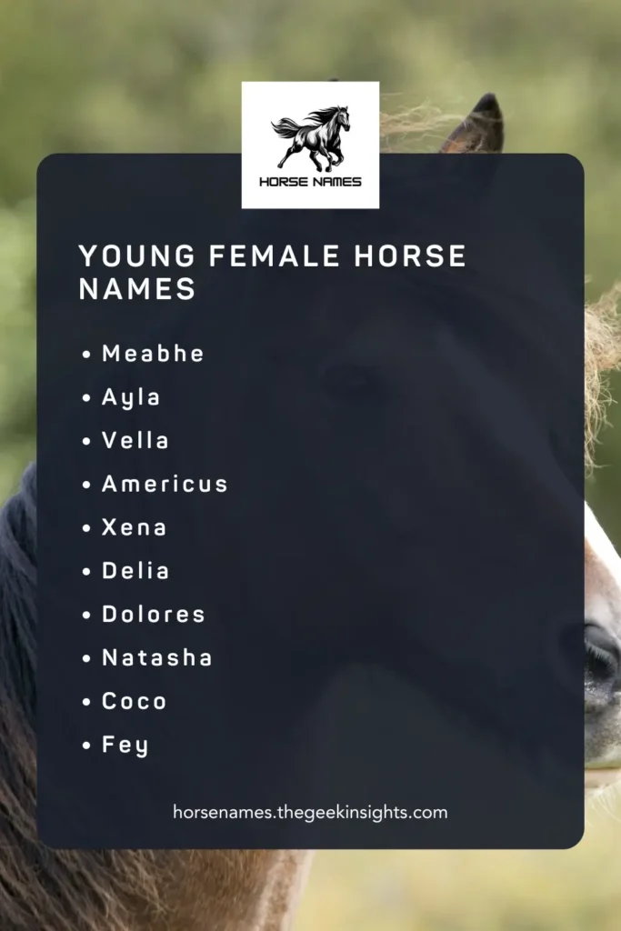 Young Female Horse Names