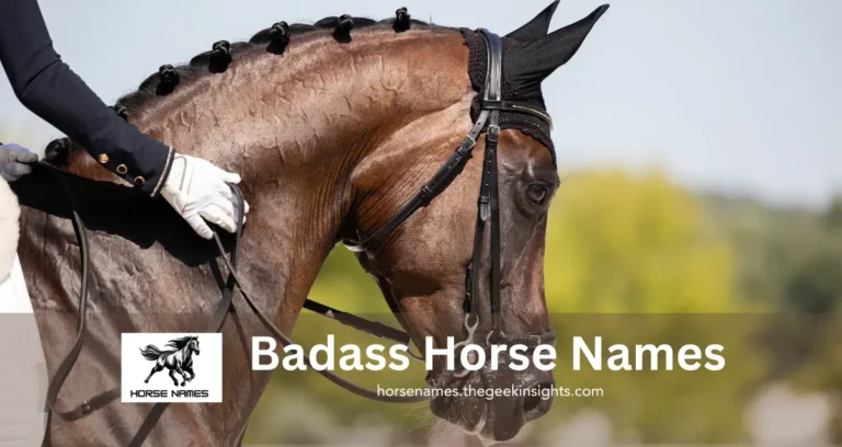 Badass Horse Names