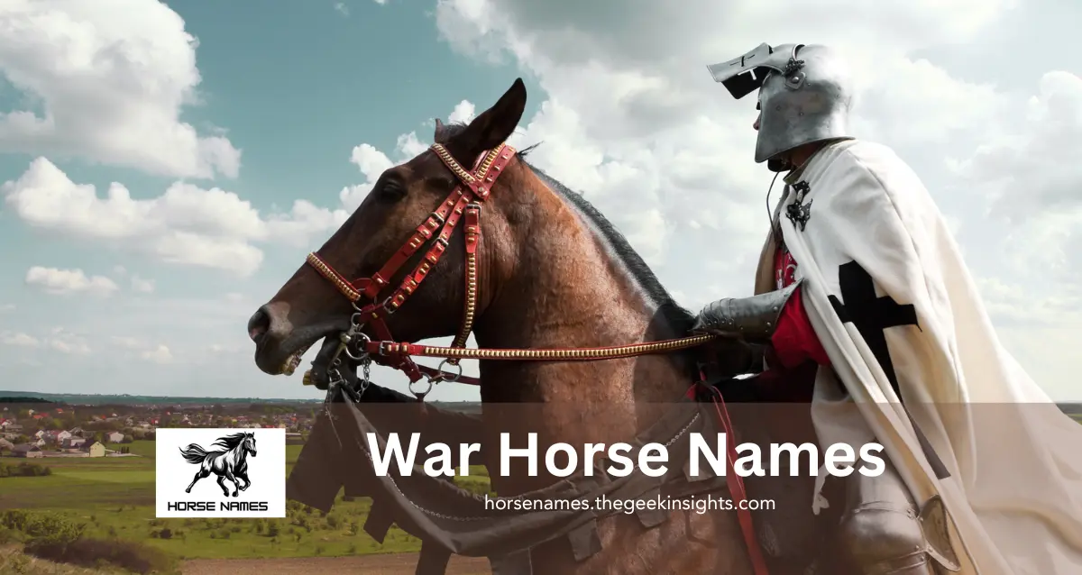 War Horse Names