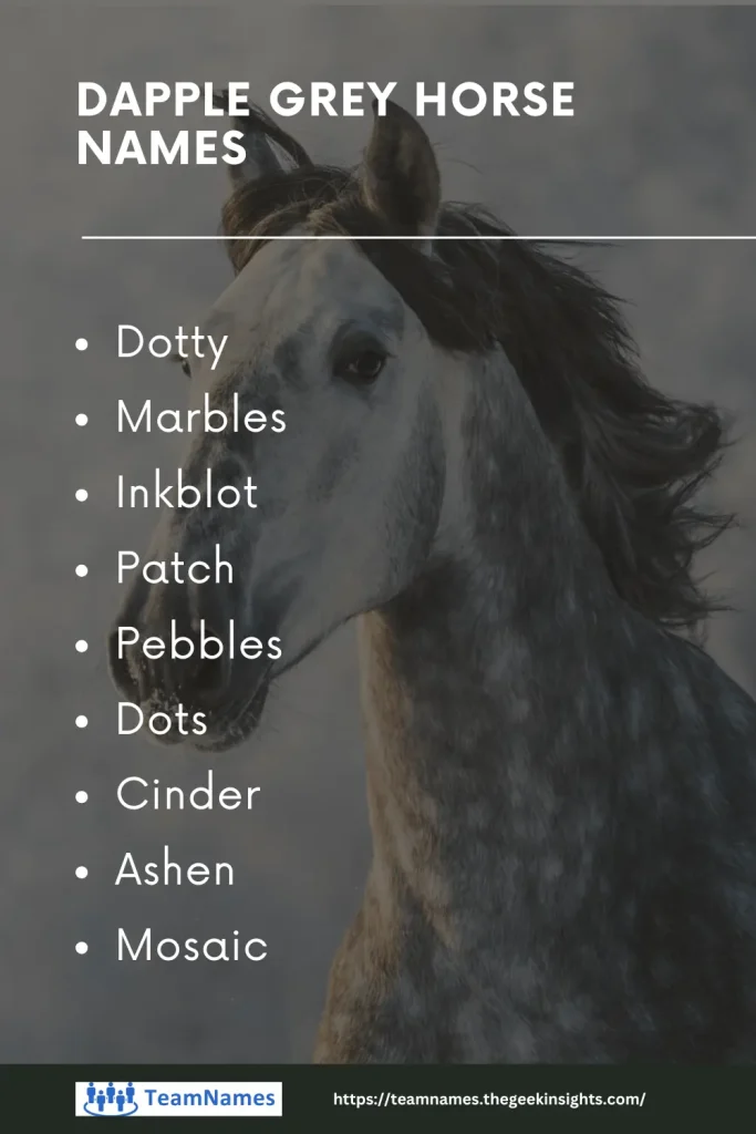 Dapple Grey Horse Names