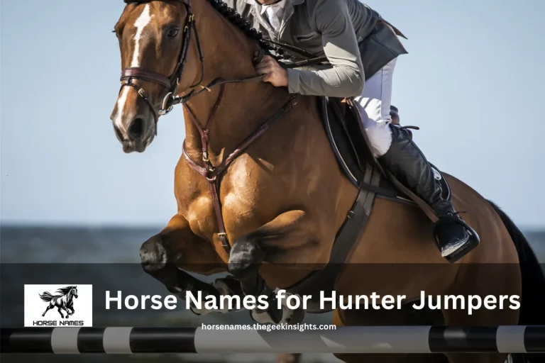 Horse Names for Hunter Jumpers