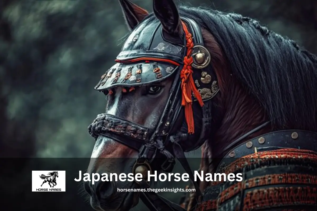 Japanese Horse Names