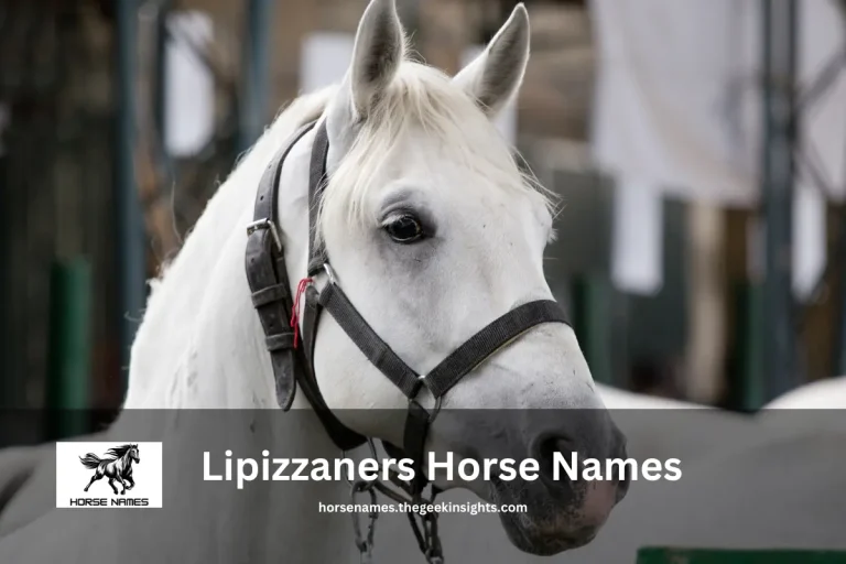 Lipizzaner Horse Names