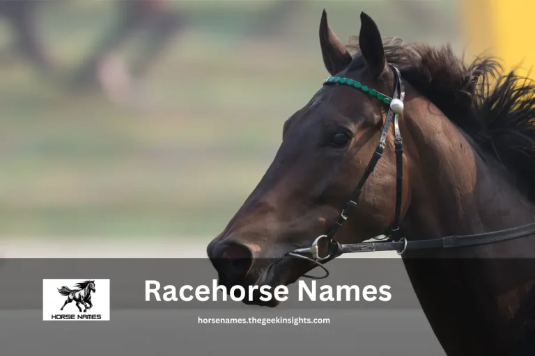 Racehorse Names