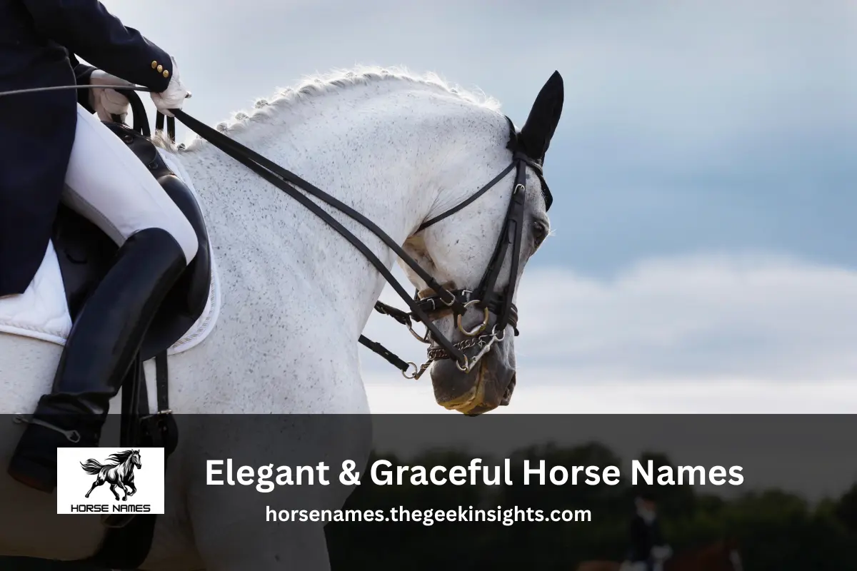 Elegant & Graceful Horse Names