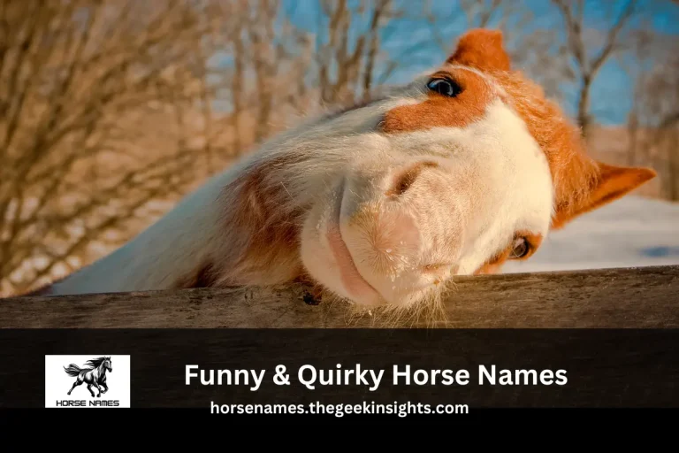 Funny & Quirky Horse Names
