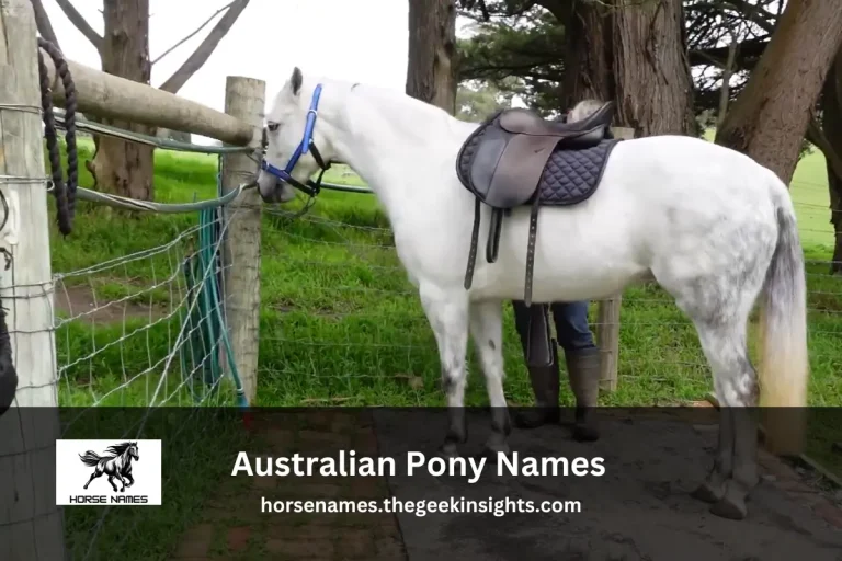 Australian Pony Names