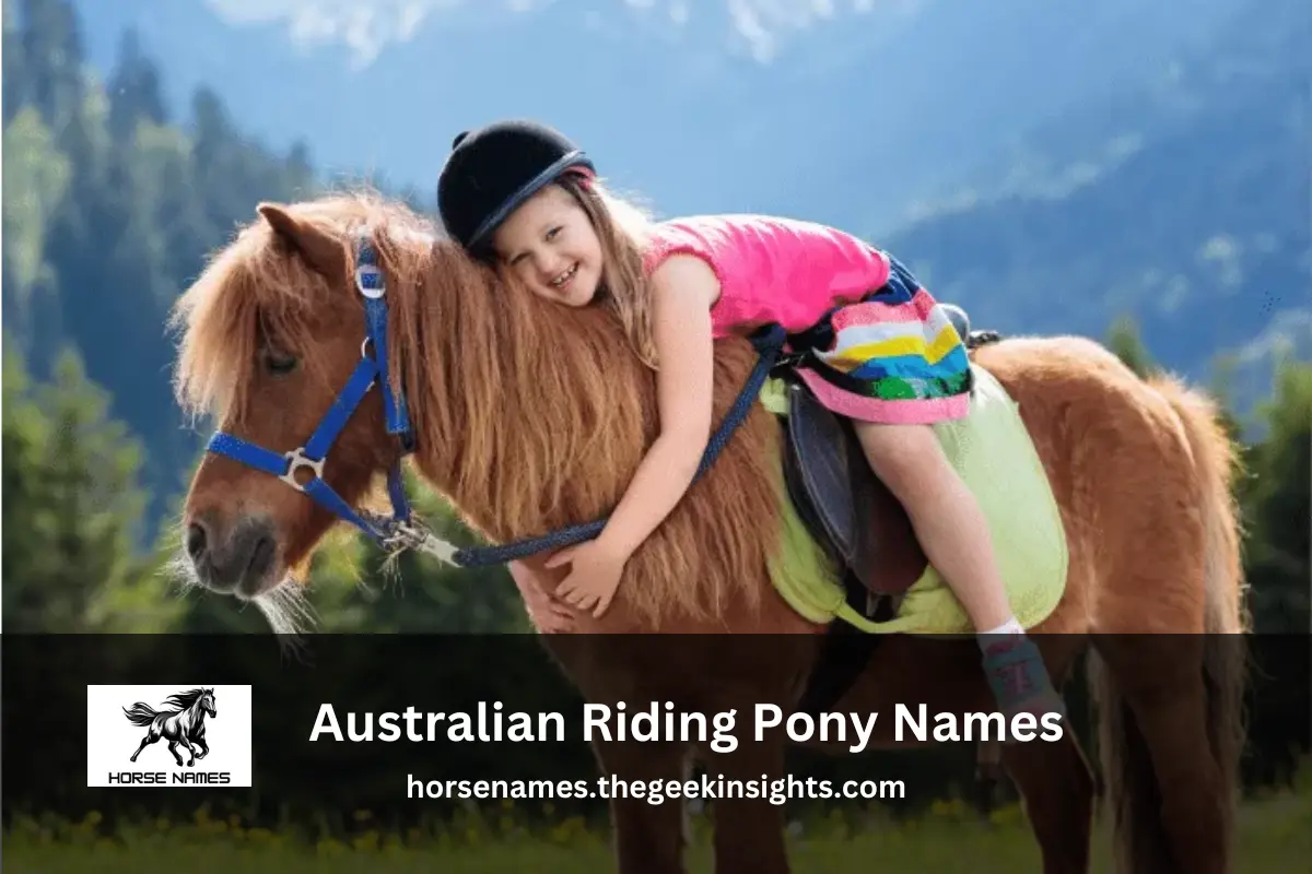 Australian Riding Pony Names