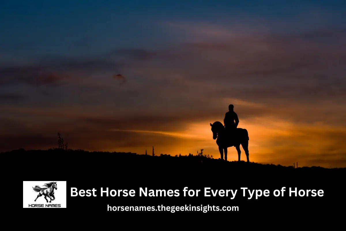 Best Horse Names for Every Type of Horse
