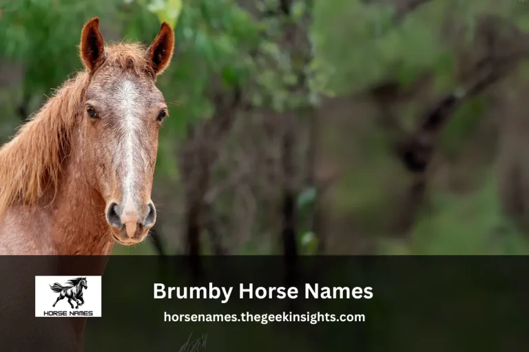 Brumby Horse Names