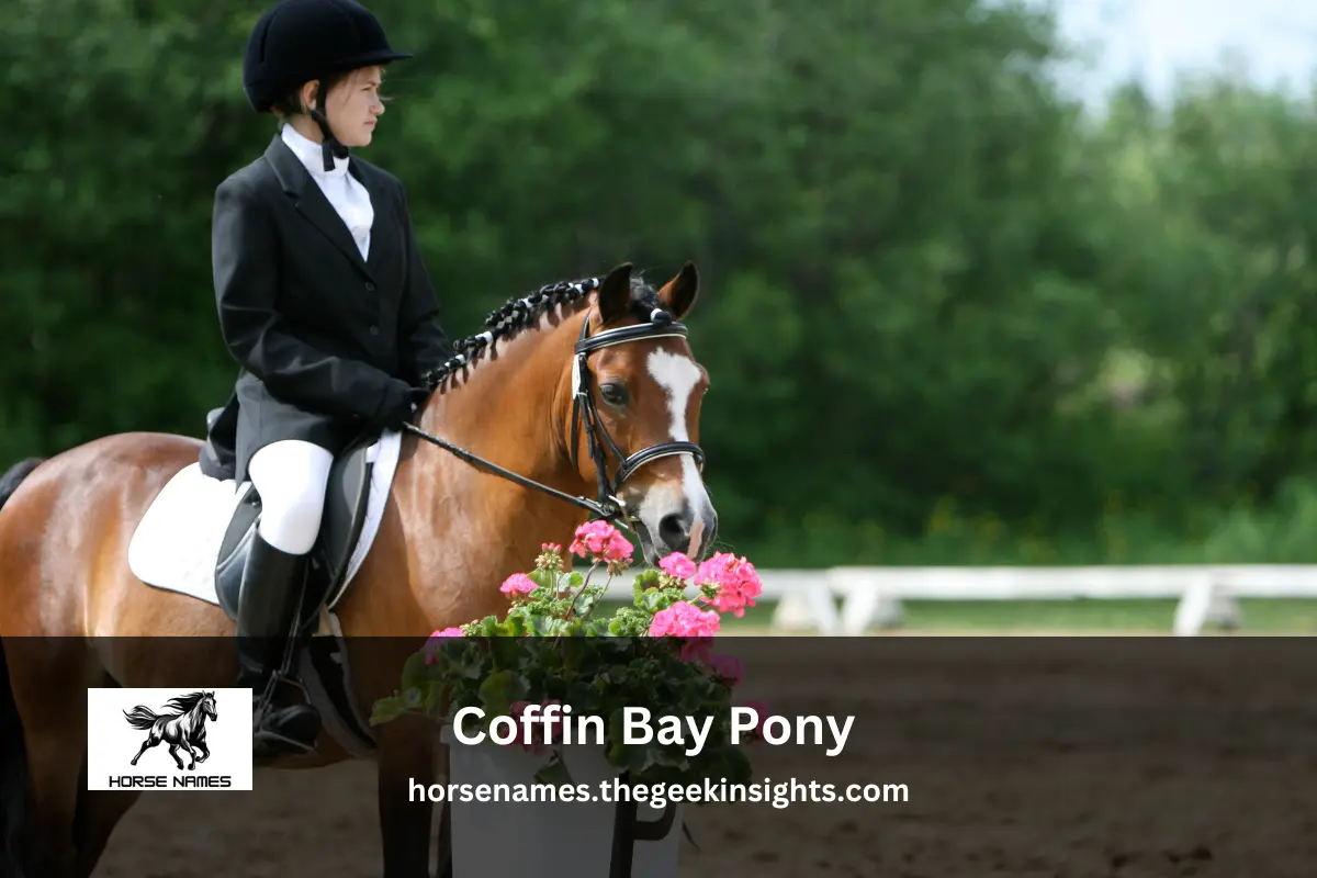 Coffin Bay Pony Names
