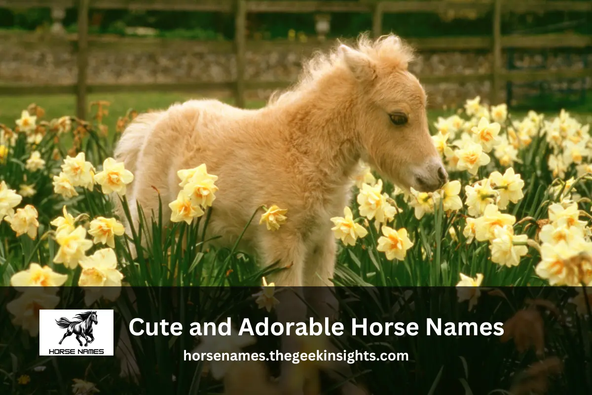 Cute and Adorable Horse Names