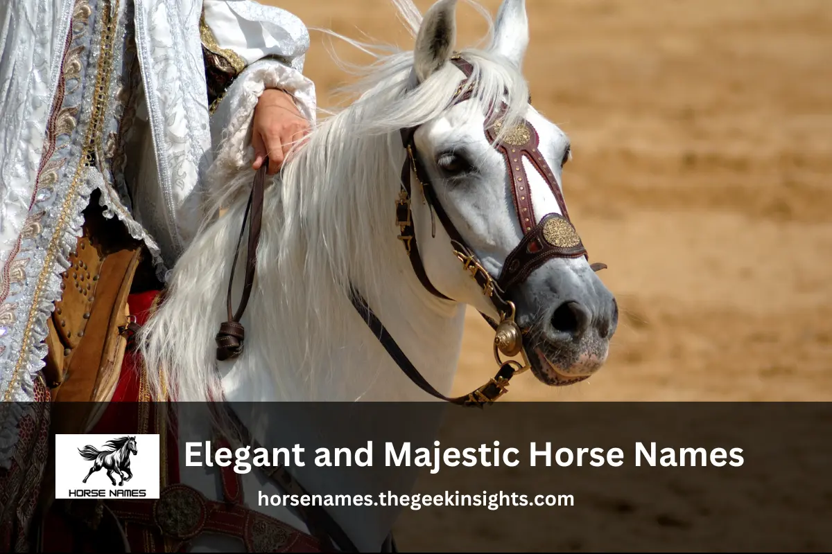 Elegant and Majestic Horse Names