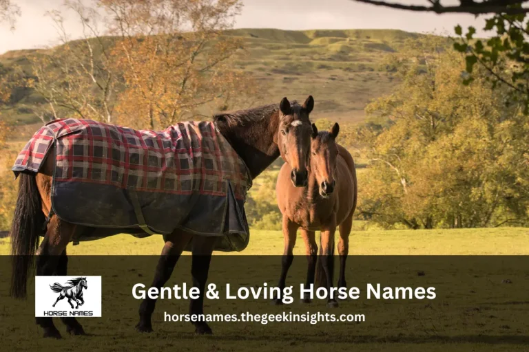 Gentle & Loving Horse Names