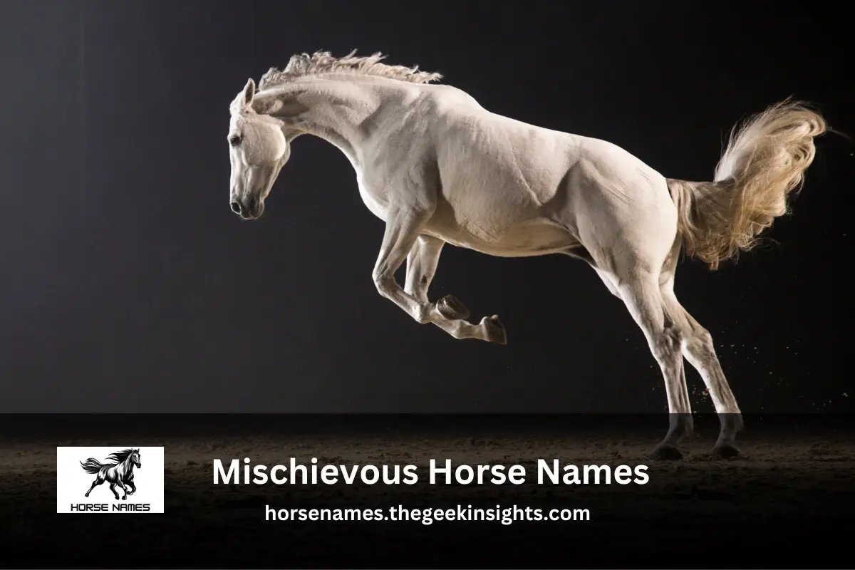 Mischievous Horse Names