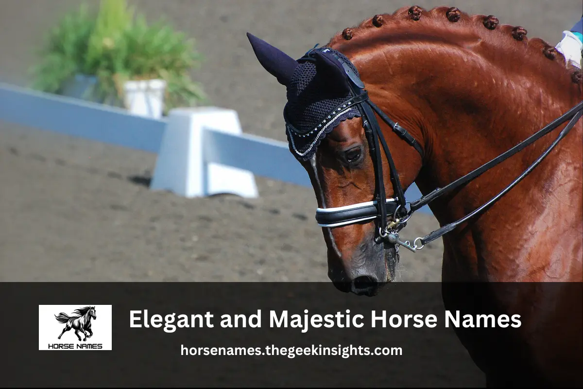 Powerful and Large Horse Names