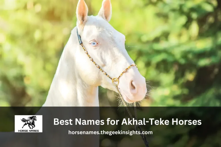 Best Names for Akhal-Teke Horses