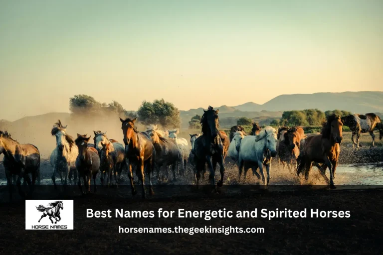 Best Names for Energetic and Spirited Horses