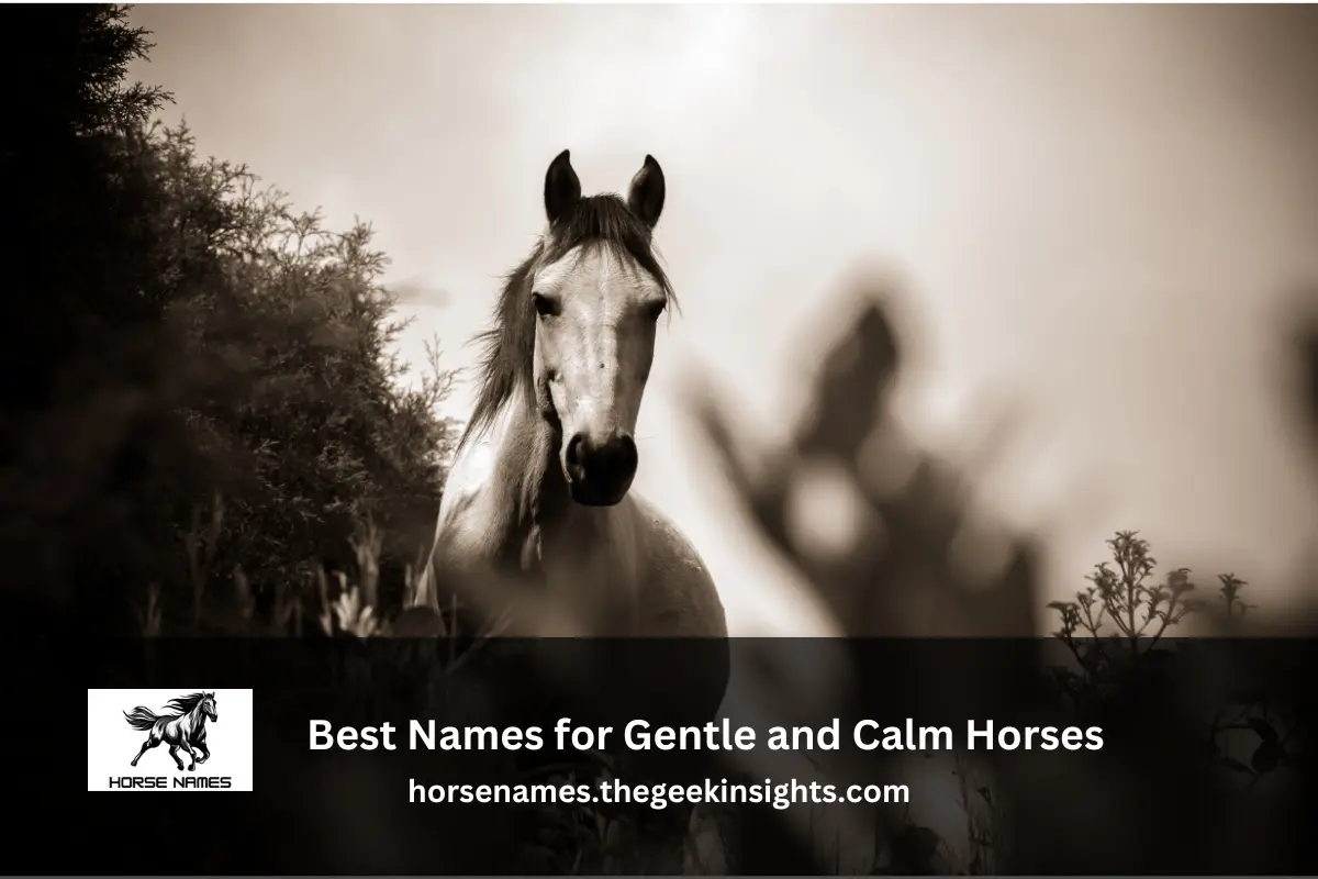 Best Names for Gentle and Calm Horses