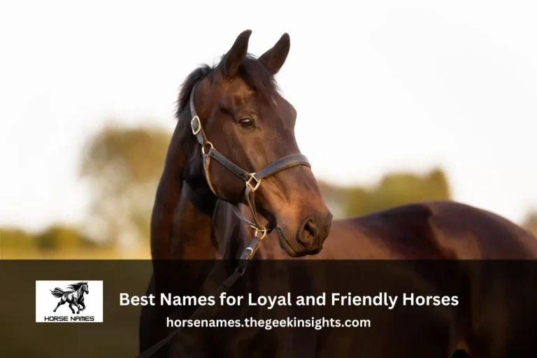 Best Names for Loyal and Friendly Horses