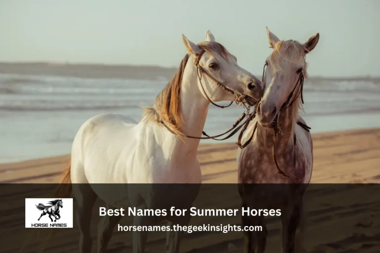 Best Names for Summer Horses