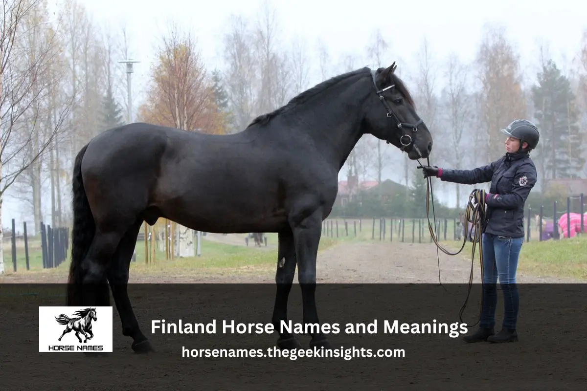 Finland Horse Names and Meanings