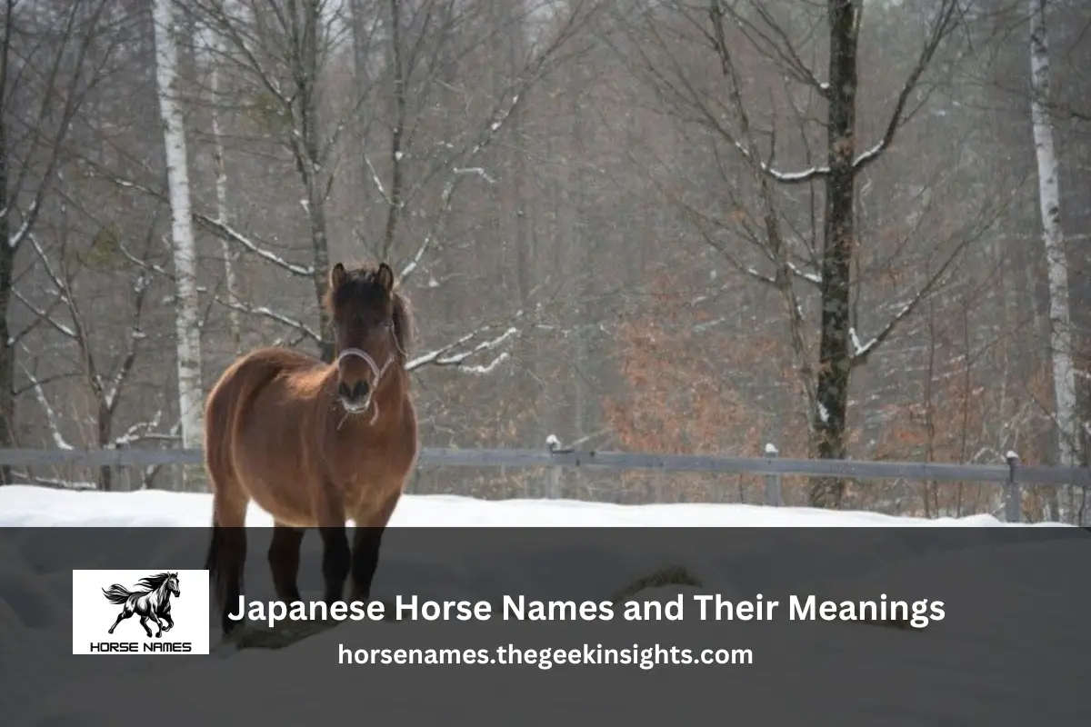 Japanese Horse Names and Their Meanings