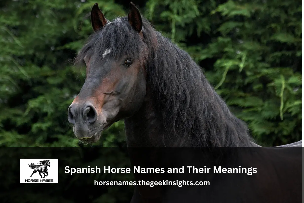Spanish Horse Names and Their Meanings