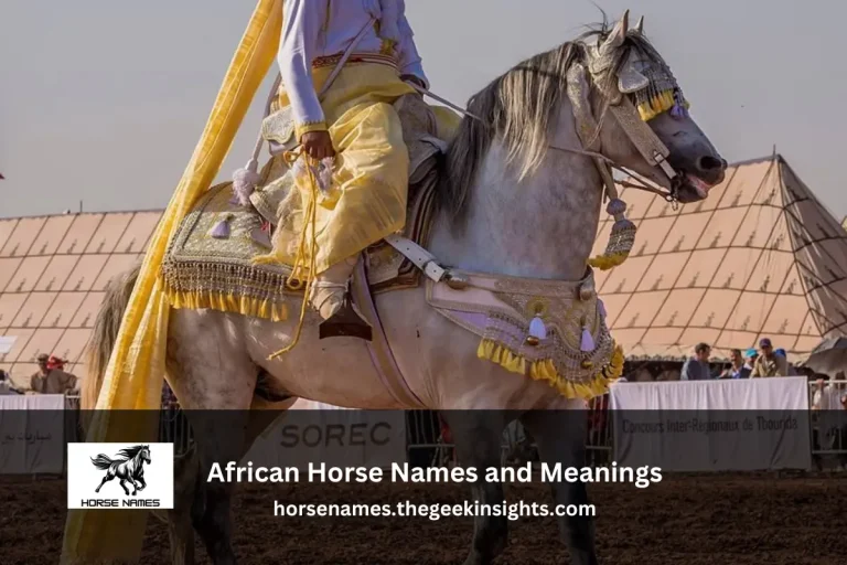 African Horse Names and Meanings