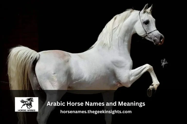Arabic Horse Names and Meanings