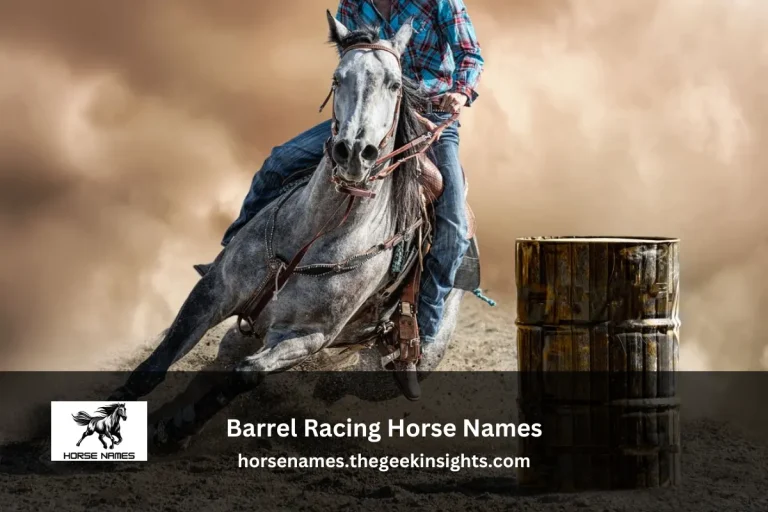 Barrel Racing Horse Names