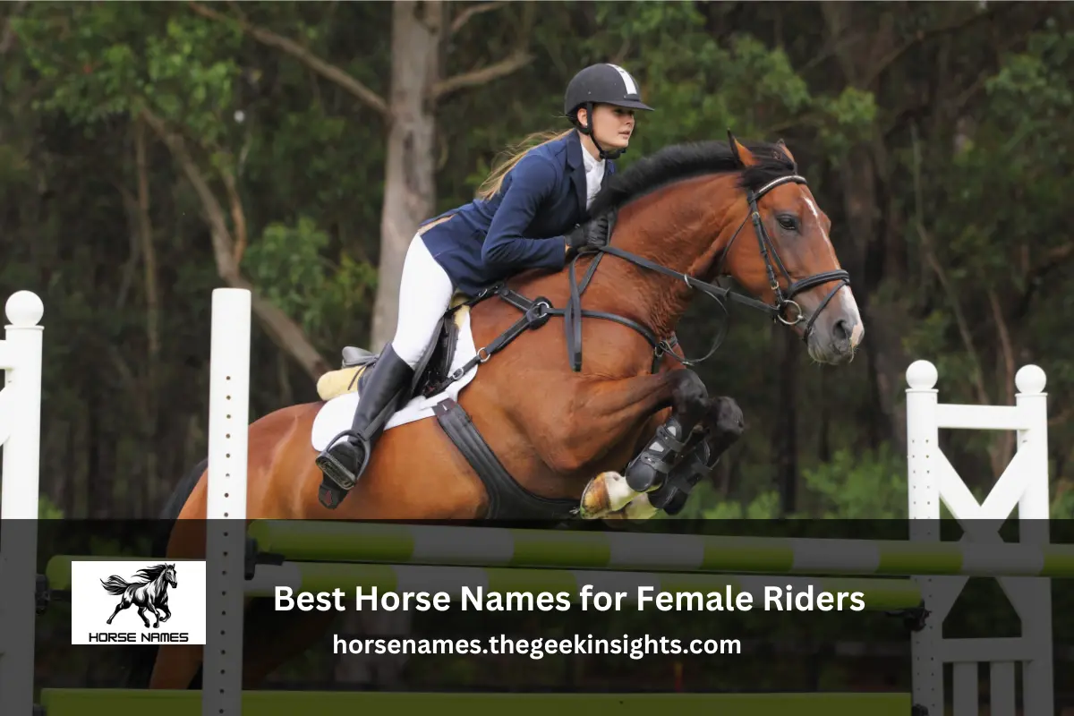 Best Horse Names for Female Riders