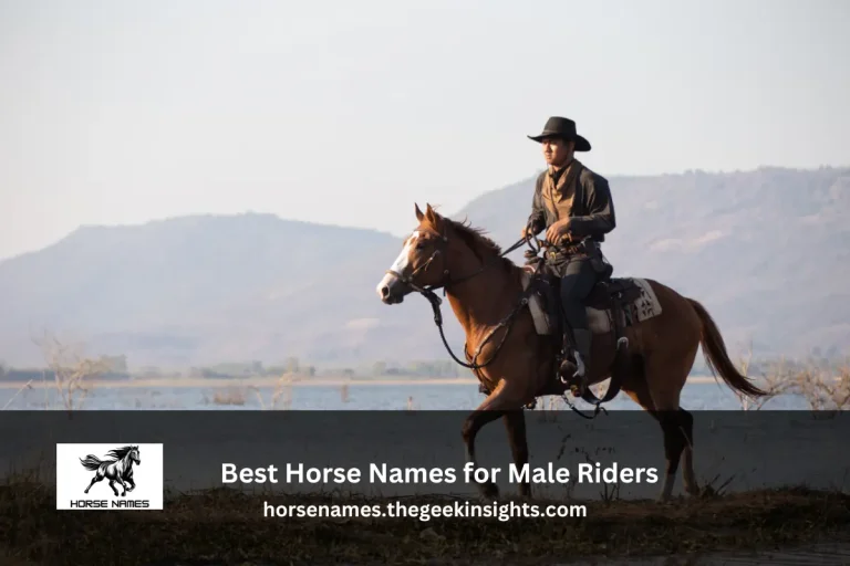 Best Horse Names for Male Riders