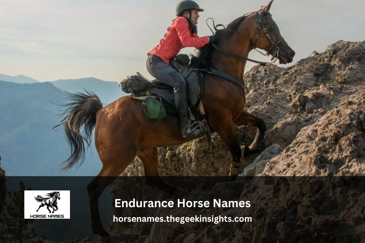 Endurance Horse Names