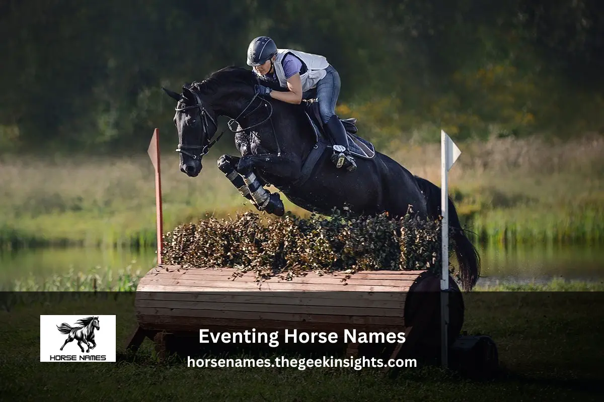 Eventing Horse Names