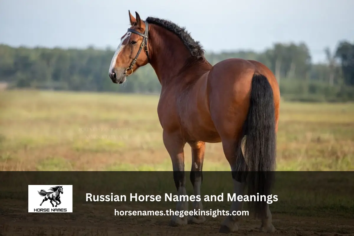 Russian Horse Names and Meanings