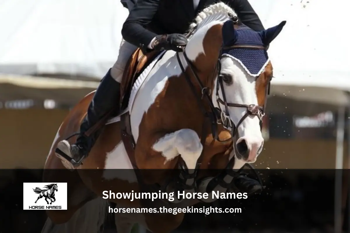 Showjumping Horse Names