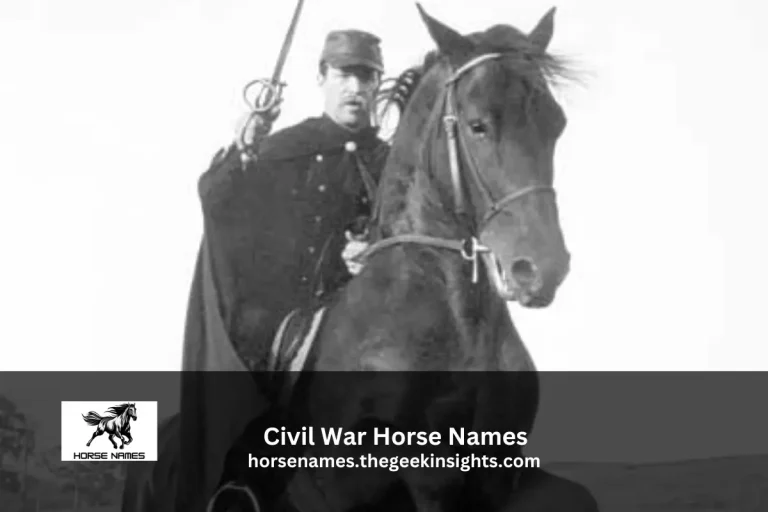 Civil War Horse Names