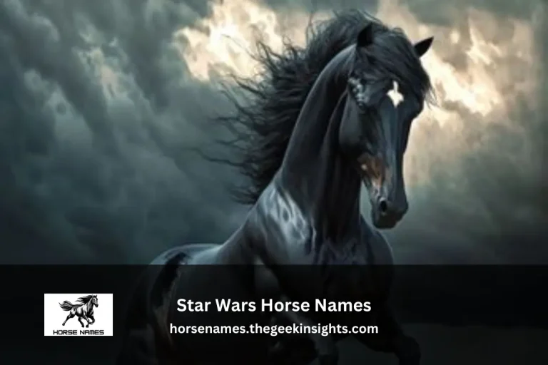 Star Wars Horse Names