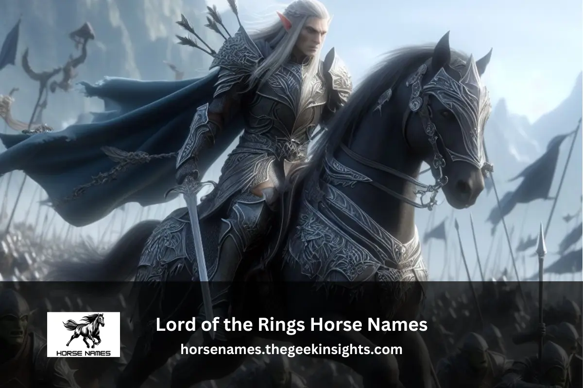 Lord of the Rings Horse Names