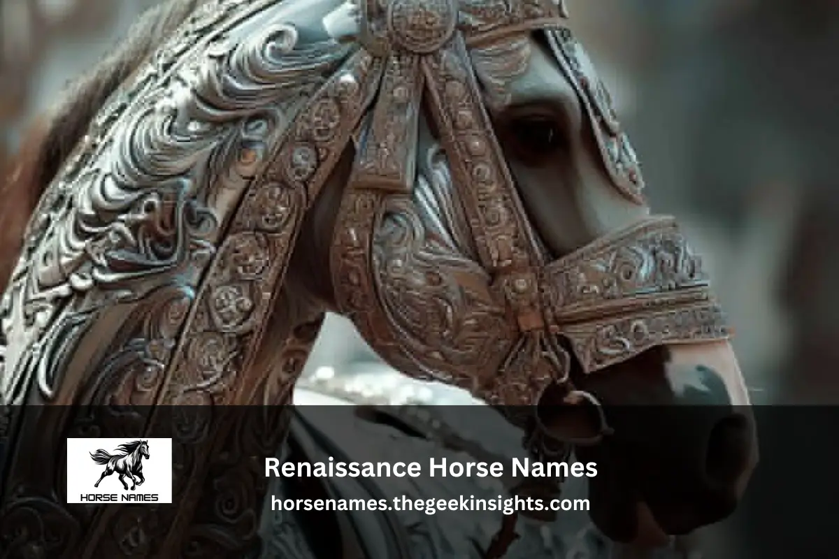 Renaissance Horse Names